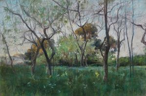 Landscape with trees and branches