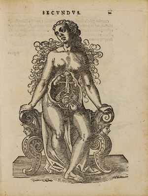 De conceptu, et generatione hominis: De matrice et eius partibus, nec non de conditione infantis in vtero, & grauidarum cura & officio