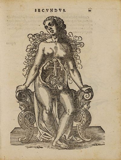 Opera di Ostetricia, De conceptu, et generatione hominis, 1587, illustrazioni di Jost Amman
