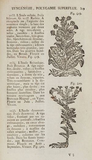 Histoire des plantes d'Europe, ou Élémens de botanique pratique