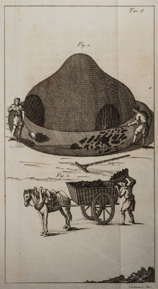 Botanica - Grew, Nehemiah - Boyle, Robert - Dedu, N. - Matteo Tondi, Anatomia e anima delle piant...