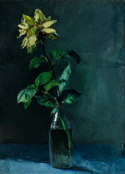 Rosa nel Vaso