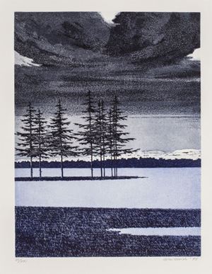 Abeti al chiaro di luna