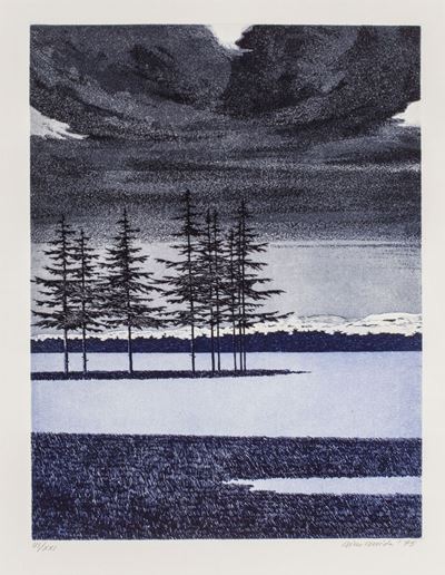 Abeti al Chiaro di Luna