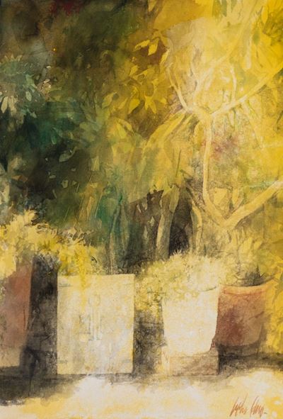 Giardini di Carta