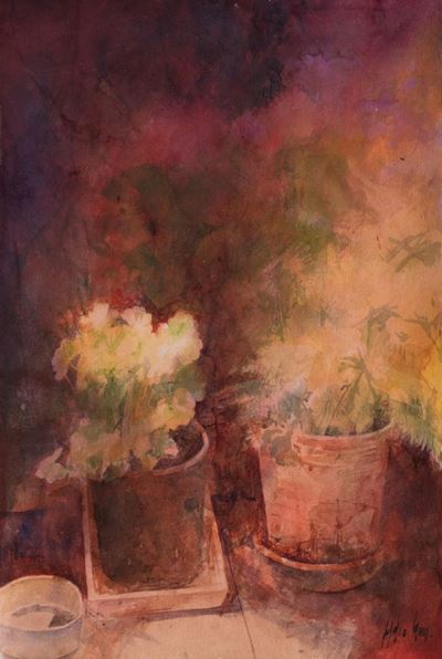 Giardini di Carta N°9