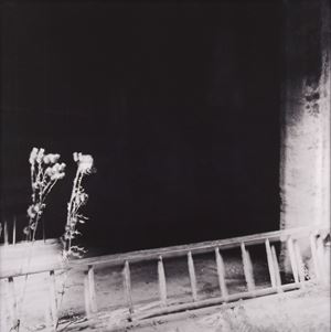 EX PAESAGGIO # 6
2005 - 2013
Stampa gill