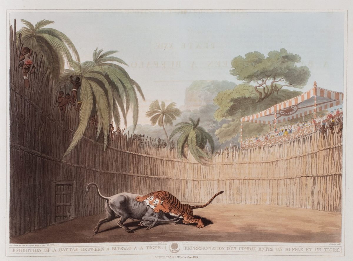 Samuel Howitt - Oriental Field Sports; Being a Complete, Detailed, And Accurate Description Of Th...