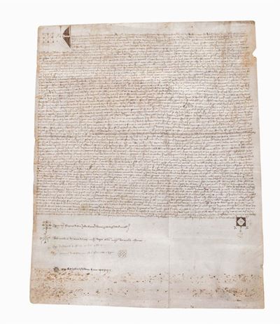 Concessione nobiliare, pergamena datata 1353