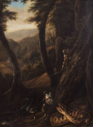 A snake, a butterfly, a lizard and mushrooms in a wooden landscape