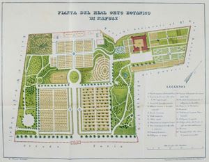 Catalogo delle piante che si coltivano nel R. Orto Botanico di Napoli : corredato della pianta del medesimo, e di annotazioni