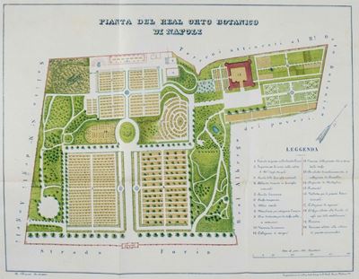Michele Tenore, Catalogo delle piante del R. Orto Botanico di Napoli con tavola litografica