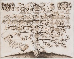 Storia fiorentina... Nella quale principalmente si contengono l'ultime revoluzioni della Repubblica fiorentina, e lo stabilimento del principato nella casa de' Medici