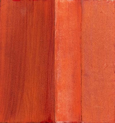 Codice Primigenio, tecnica mista su carta ripiegata, 2006