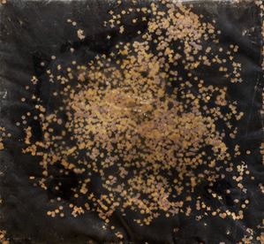 Festa Tano - Untitled