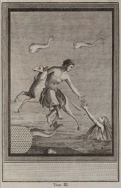 Antiquités D'herculanum, Ou Les Plus Belles Peintures Antiques, Et Les Marbres, Bronzes, Meu...