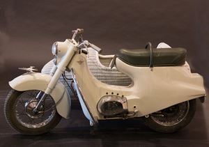 fin-moto-00031 Rumi Scoiattolo grigio co