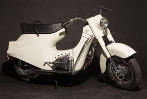 fin-moto-00029 Rumi scoiattolo bianco