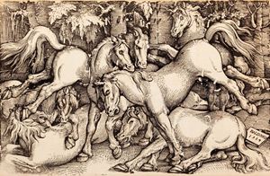 Gruppo di sette cavalli nel bosco 