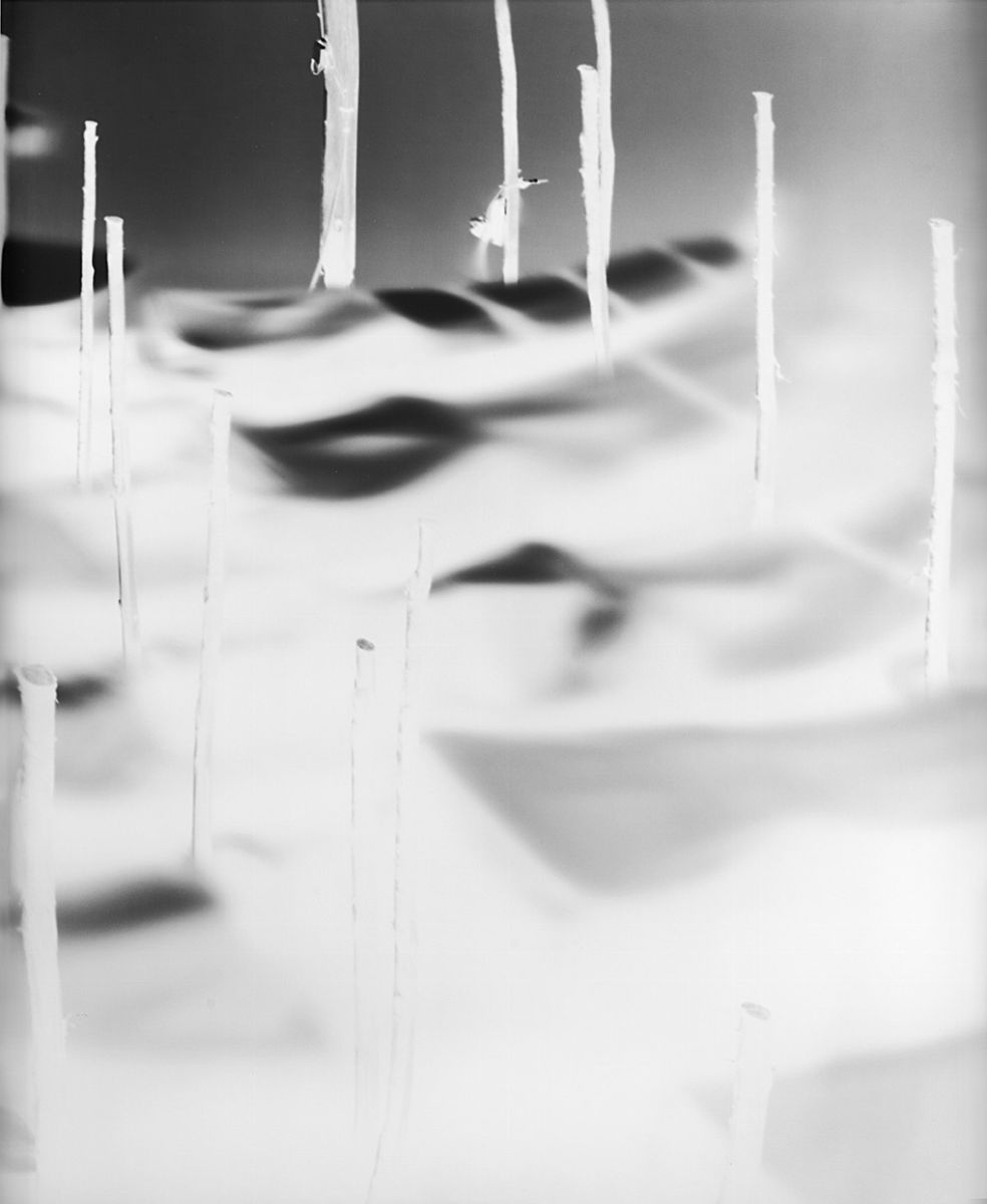 Vera Lutter - Venice I, 2007 Sei Stampe alla Gelatina