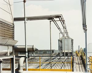 Indena, anni 1995
Vintage C-print
cm 30 