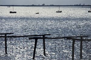 Rovigo, anni 1990
Vintage C-print montat