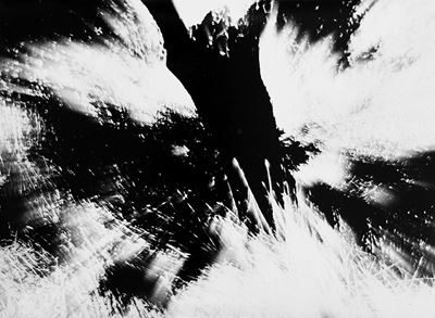 Caroline Branson, dalla Serie "omaggio a