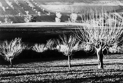 Paesaggio, 1980 Stampa Industriale a Col