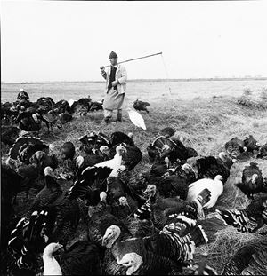 The world&#39;s oldest profession (dalla ser