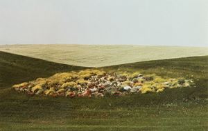 Paesaggio, 1975
Stampa vintage cromogeni