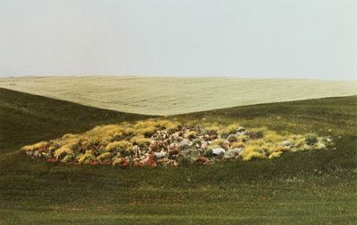 Paesaggio, 1975 Stampa Vintage Cromogeni