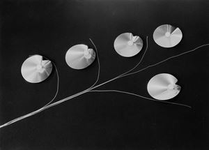 Fantasie, anni 1956 ca.

Stampa vintage 