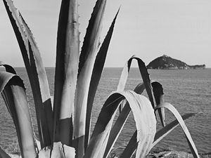 Alassio, anni 1950

Stampa vintage alla 