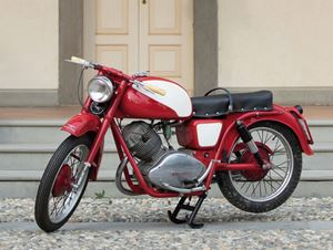 LODOLA (175) FIN-MOTO-00252