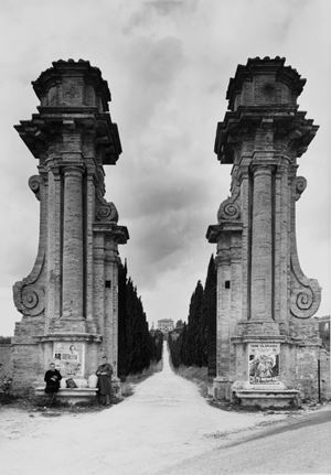 Raccoglitrici di cicoria, 1982

Stampa a