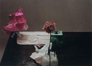 Senza titolo, dalla serie "To say it isn