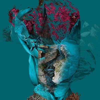 Sedimenti - Ritratto di vecchio pescatore