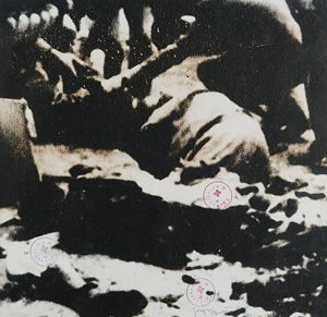 Senza titolo (guerra), anni 1970

50 x 5