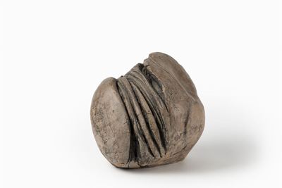 Senza titolo, terracotta