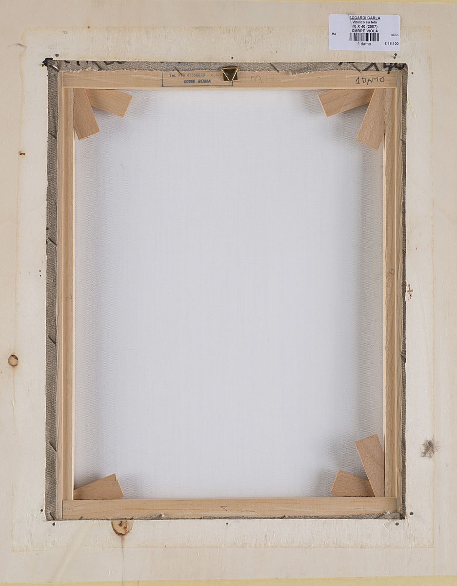 Carla Accardi - Ombre viola, 2007, vinilico su tela