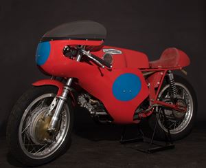 aermacchi ala d'oro fin mnoto 000123