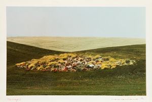 Paesaggio