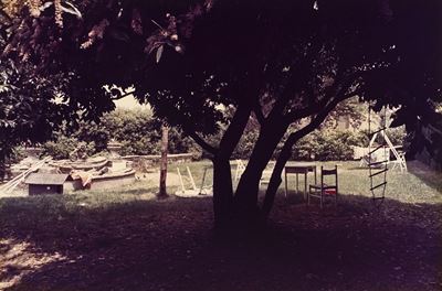 Giardino, stampa cromogenica vintage
