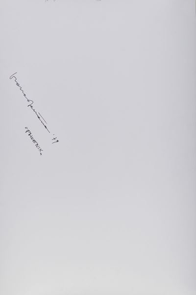 Phoenix, 1979, C-print, 60,5 x 40 cm