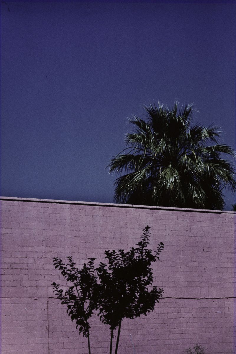 Franco Fontana - Phoenix, 1979, C-print, 60,5 x 40 cm