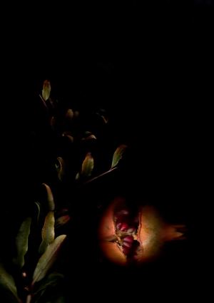 Melograno, dal progetto &quot;Vanitas&quot;, 2015
