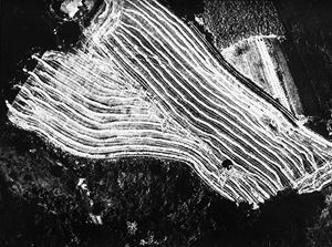 Paesaggio, 1964/1974
