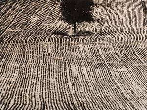 Presa di coscienza sulla natura