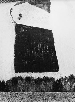 Presa di coscienza sulla natura