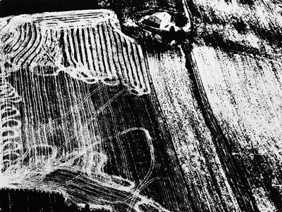 Presa di Coscienza sulla Natura, 1991